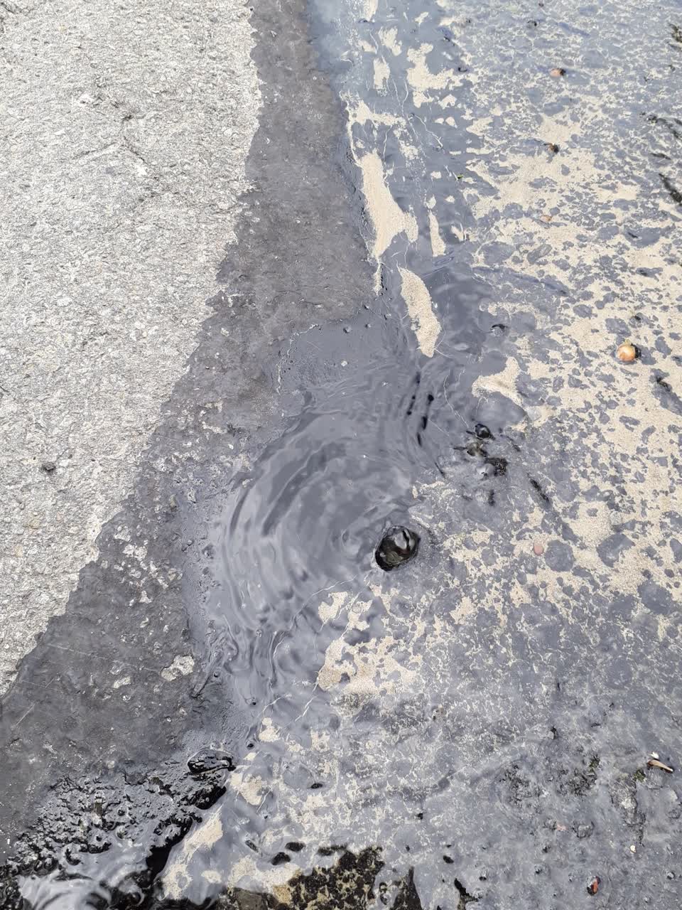 The photograph attached to this water leak report