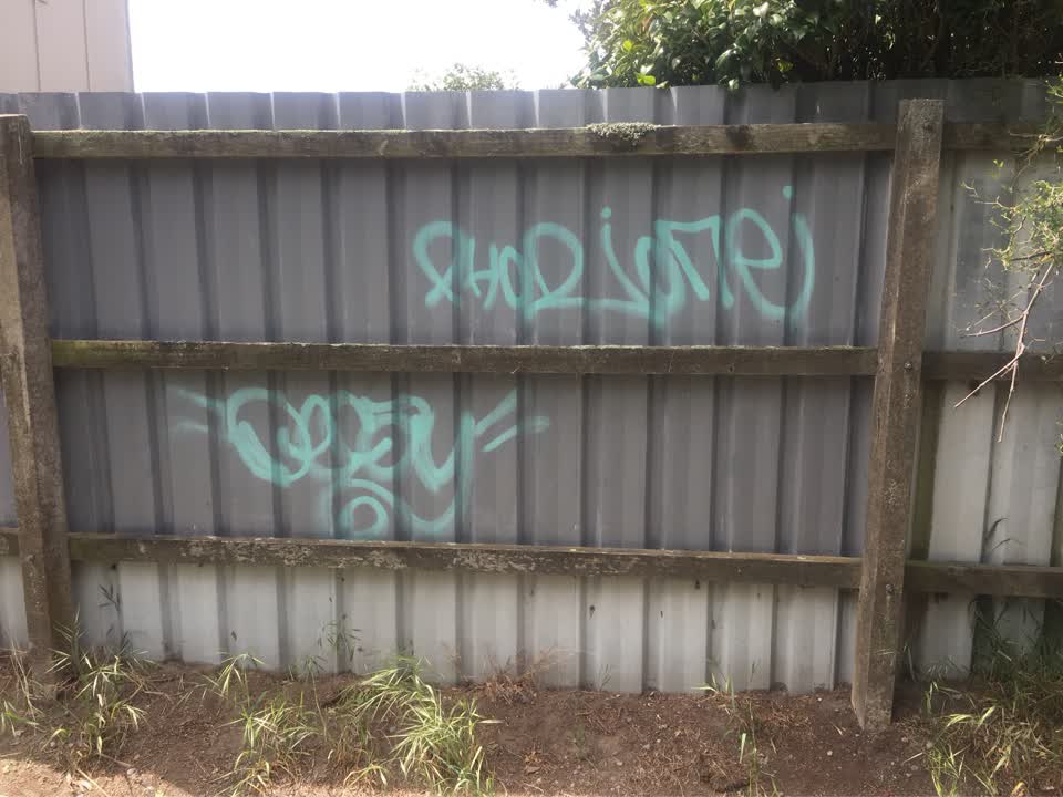 The photograph attached to this graffiti report