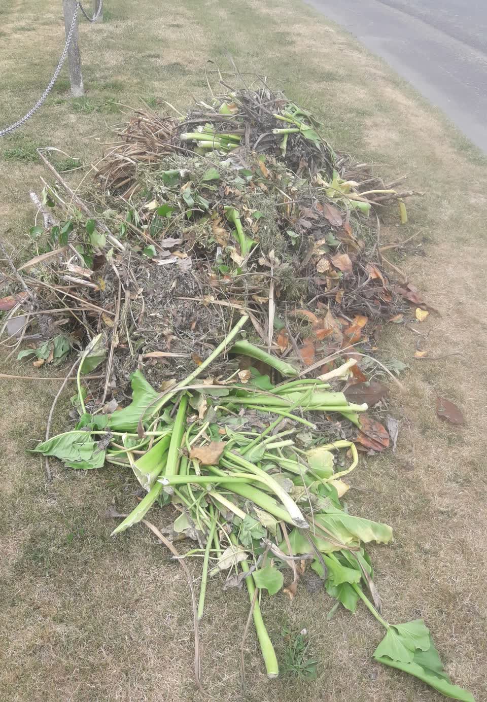 The photograph attached to this parks report