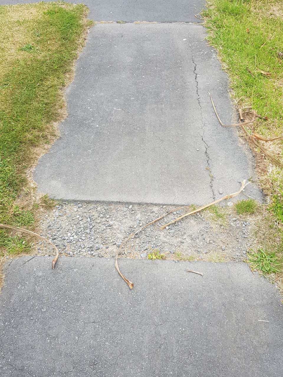 The photograph attached to this street light outage report
