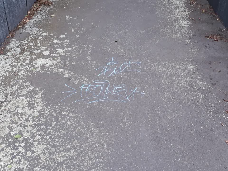 The photograph attached to this graffiti report