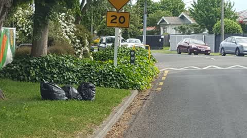 Rubbish/Recycling, a report photo