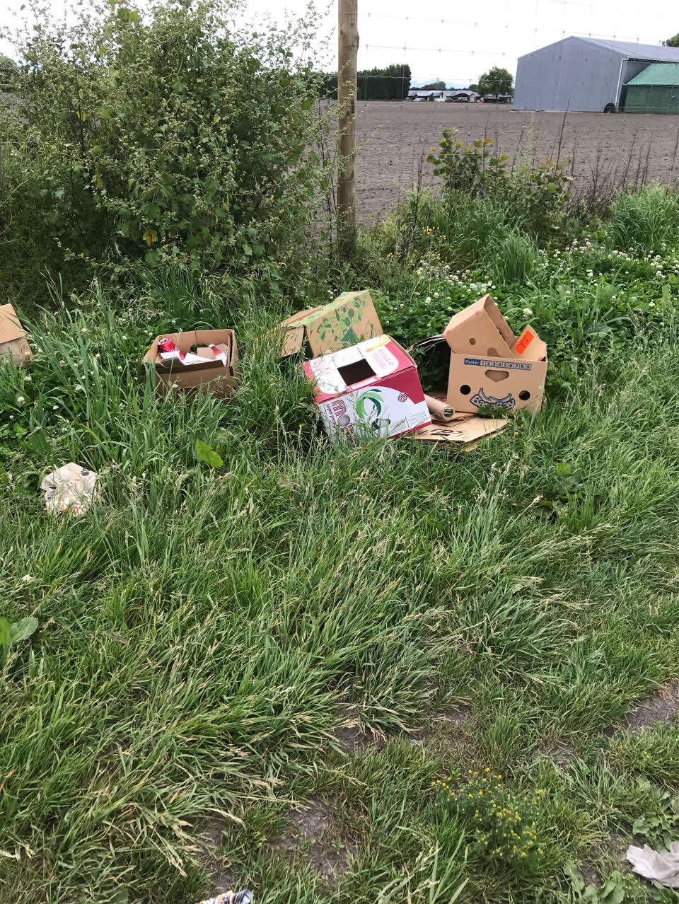 The photograph attached to this rubbish/recycling report