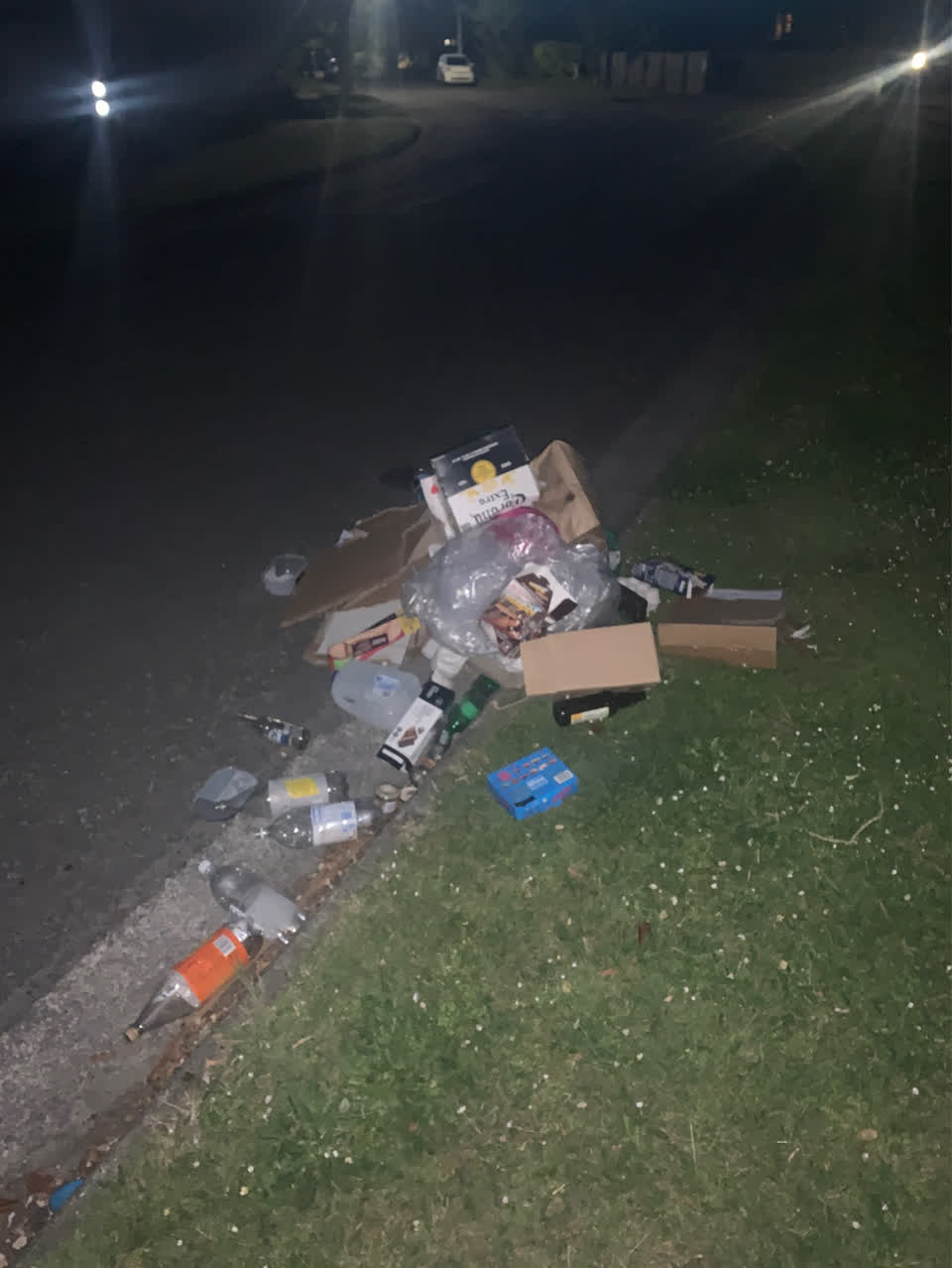 The photograph attached to this rubbish/recycling report