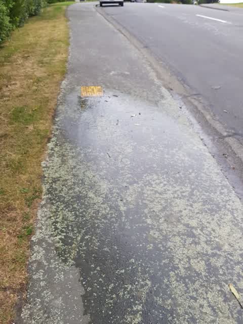 Water Leak, a report photo