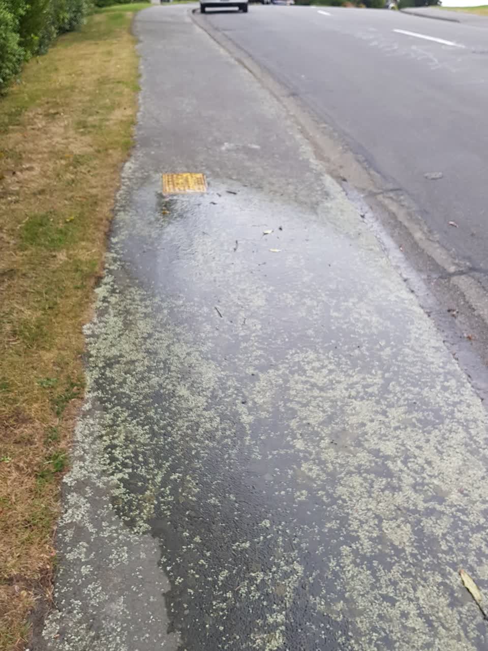 The photograph attached to this water leak report