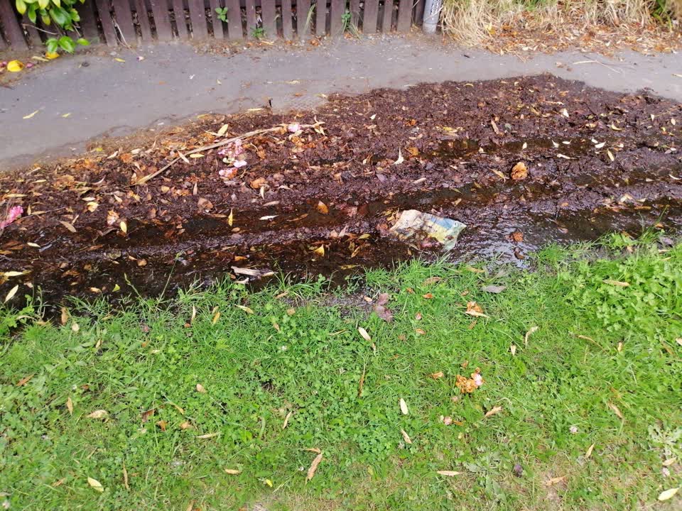 The photograph attached to this water leak report