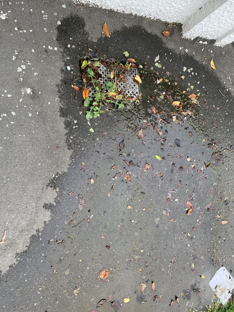 The photograph attached to this water leak report