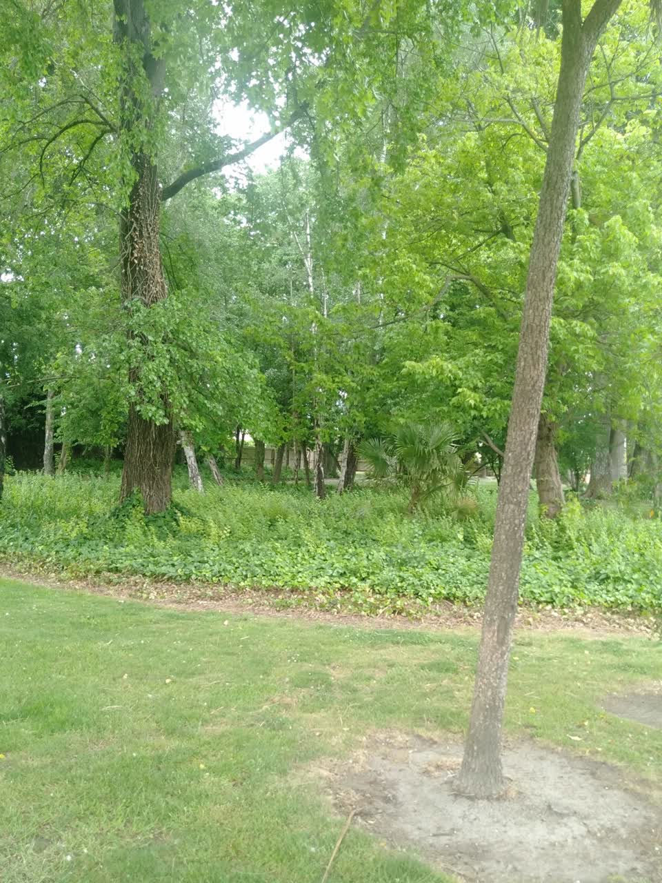 The photograph attached to this parks report