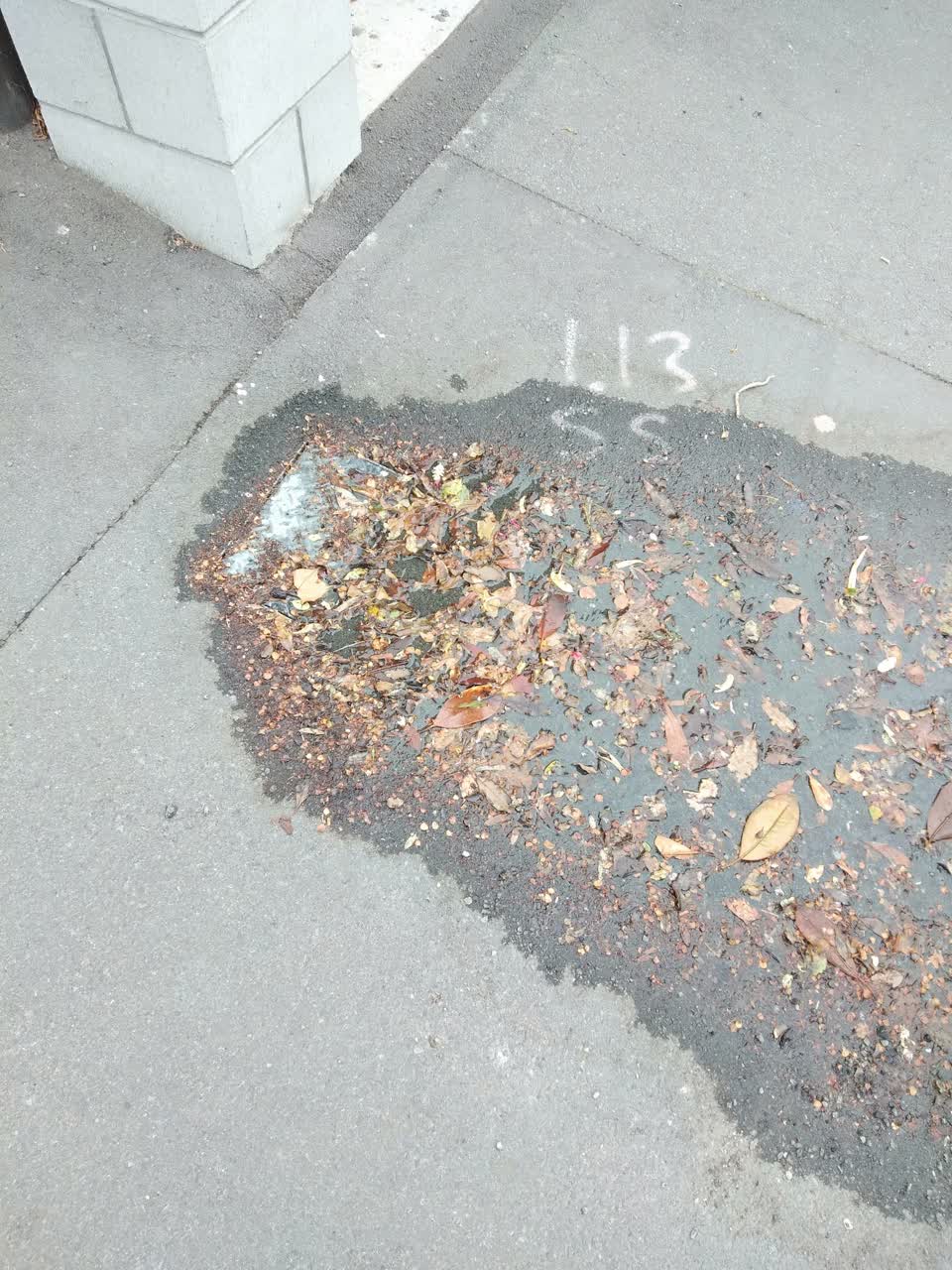 The photograph attached to this water leak report