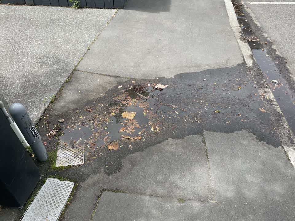 The photograph attached to this water leak report