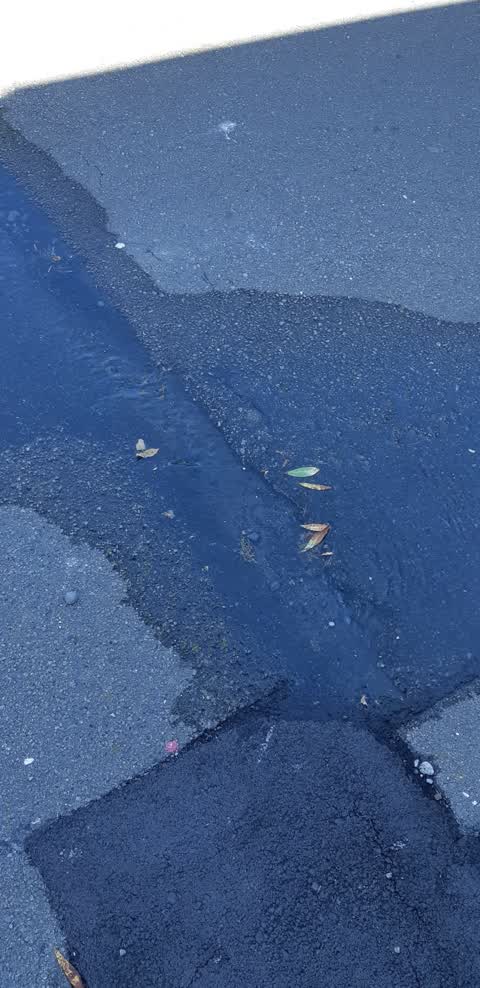 Water Leak, a report photo