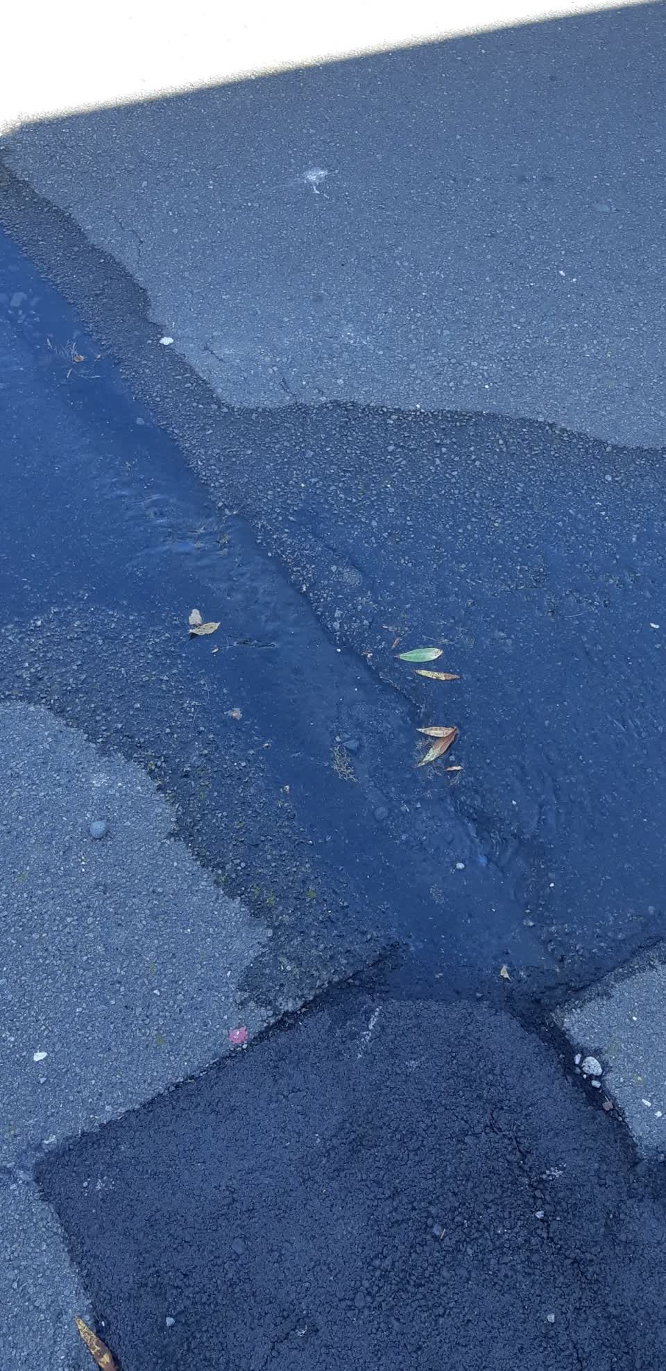 The photograph attached to this water leak report