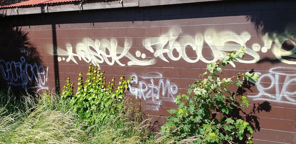 The photograph attached to this graffiti report