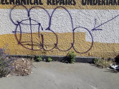 Graffiti, a report photo