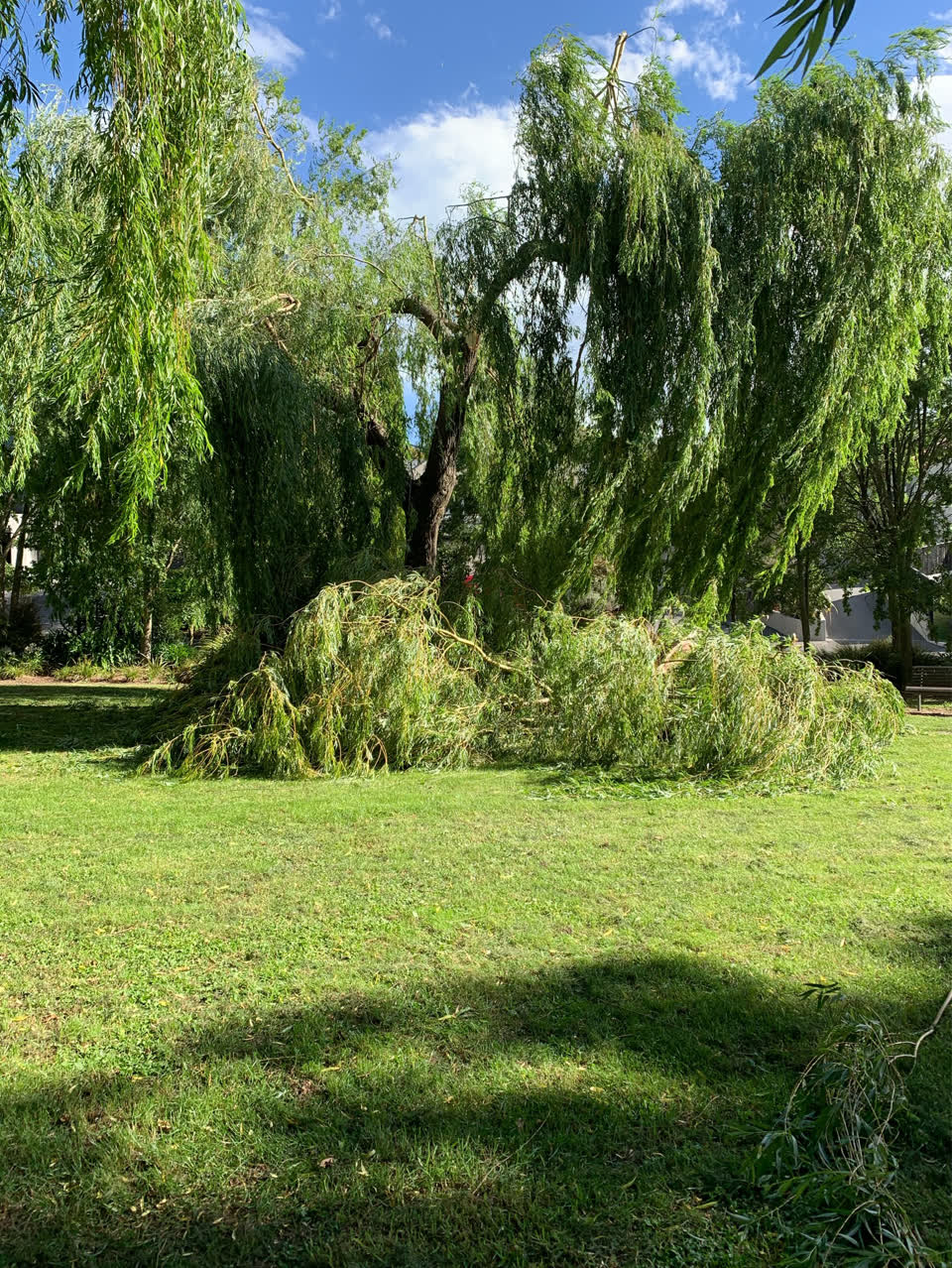 The photograph attached to this parks report