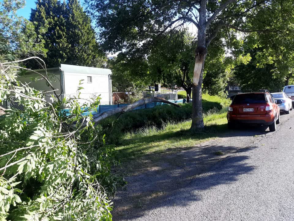 The photograph attached to this parks report