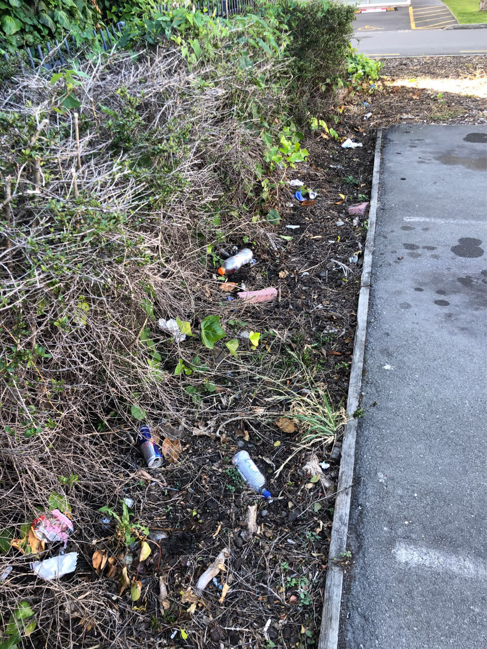 The photograph attached to this parks report