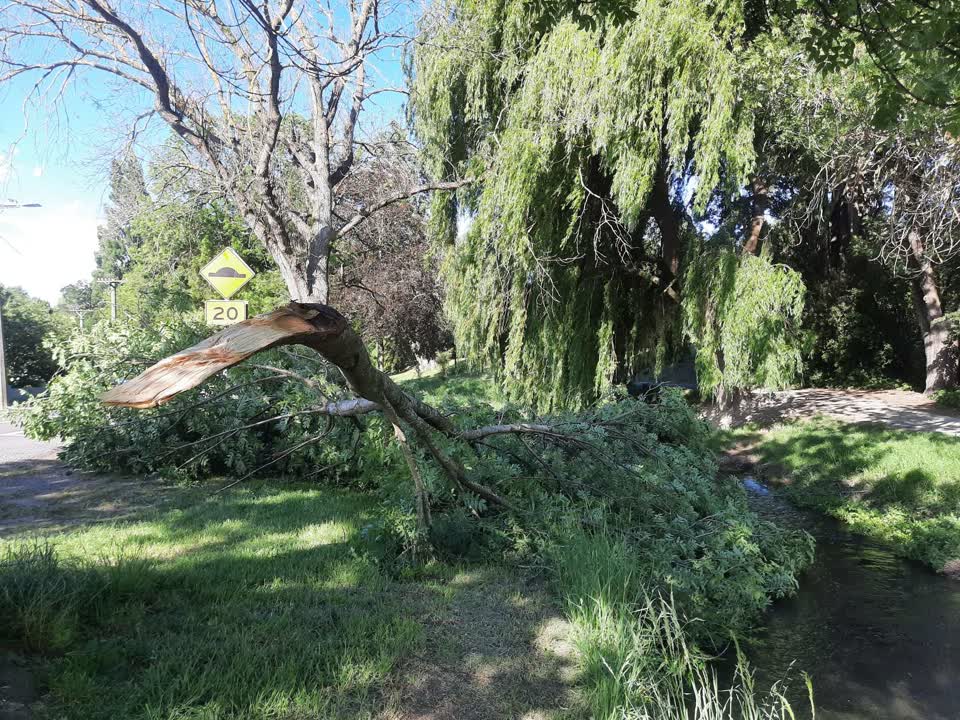 The photograph attached to this street light outage report