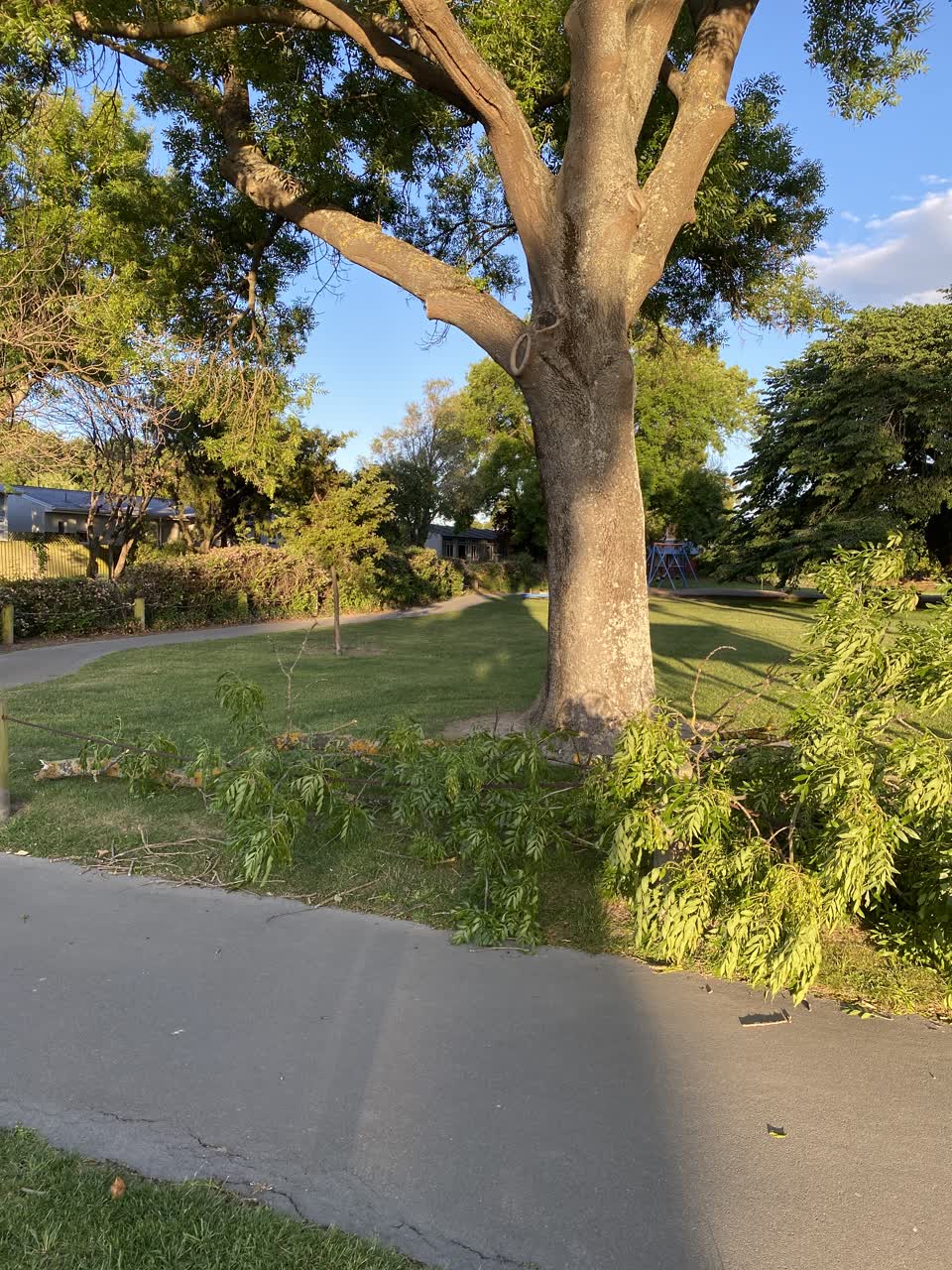 The photograph attached to this parks report