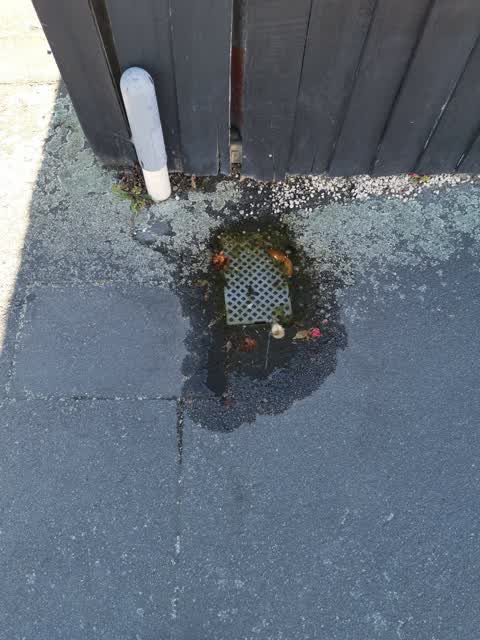 Water Leak, a report photo