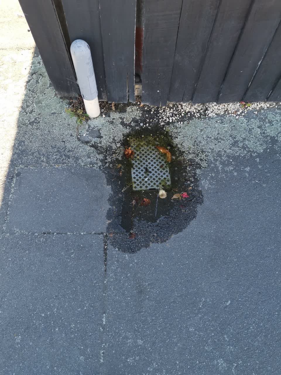 The photograph attached to this water leak report