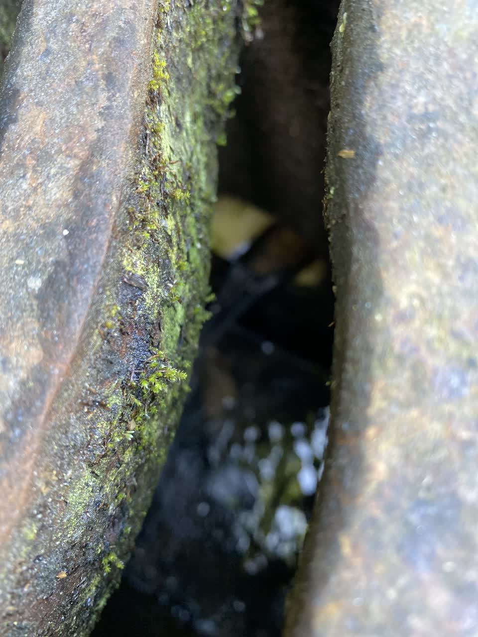 The photograph attached to this water leak report
