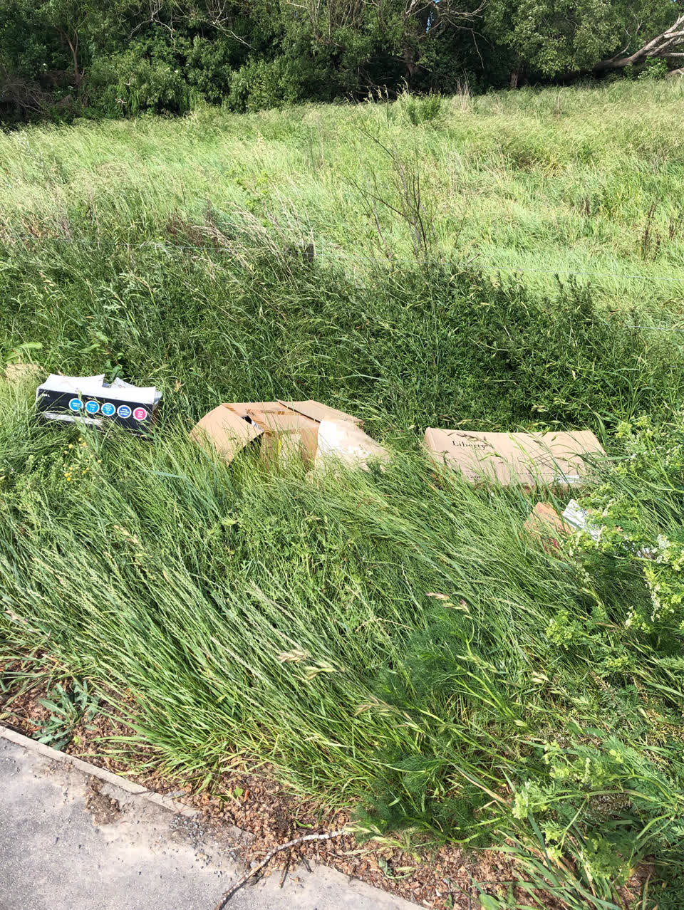 The photograph attached to this rubbish/recycling report