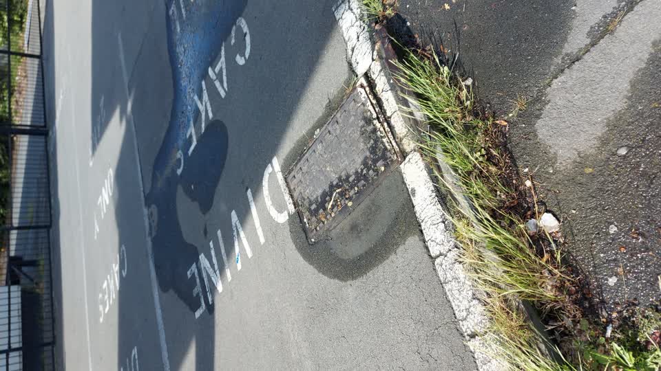 The photograph attached to this water leak report
