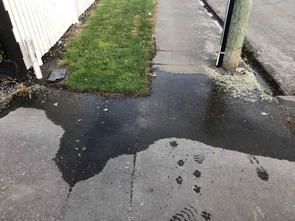The photograph attached to this water leak report