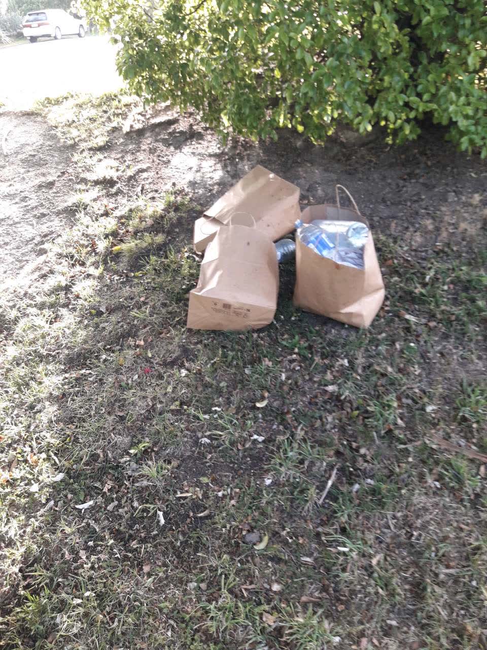 The photograph attached to this parks report