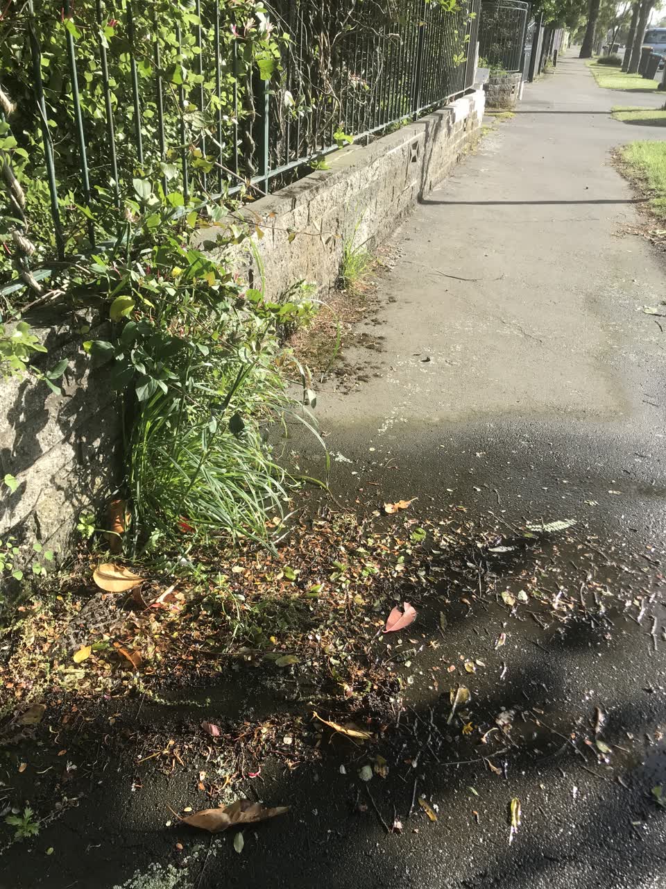 The photograph attached to this water leak report