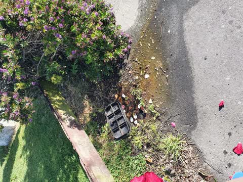 Water Leak, a report photo