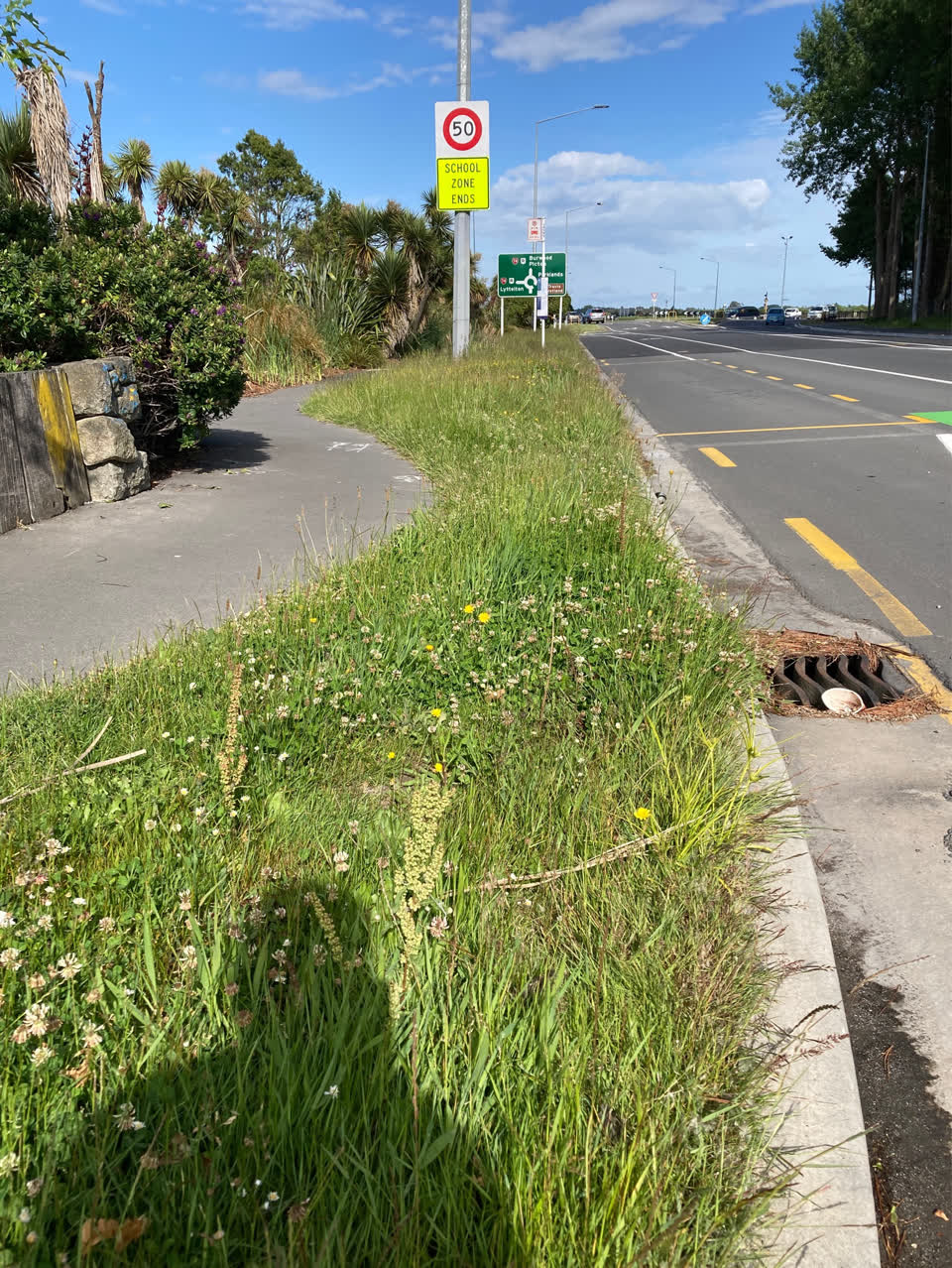 The photograph attached to this parks report