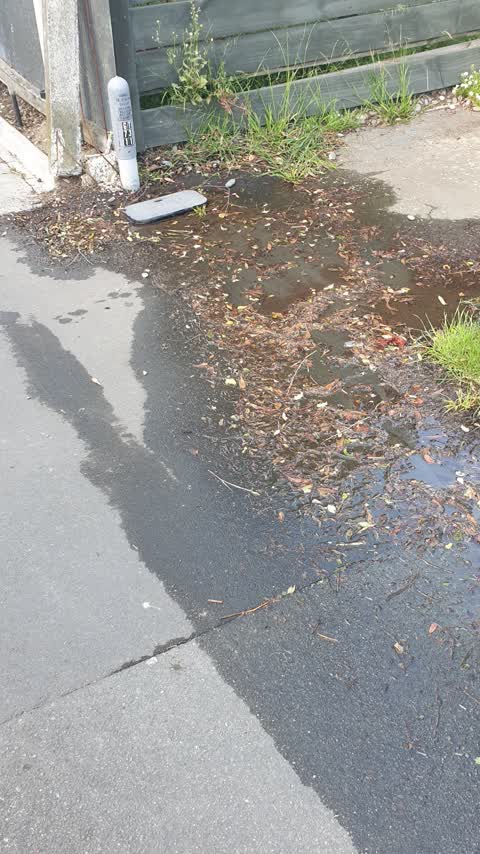 Water Leak, a report photo