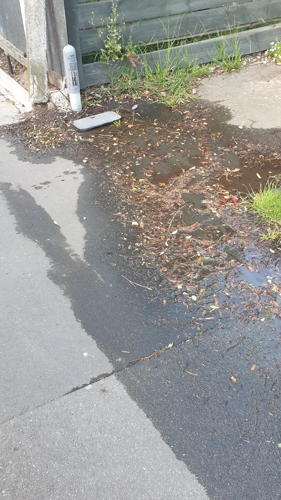 The photograph attached to this water leak report