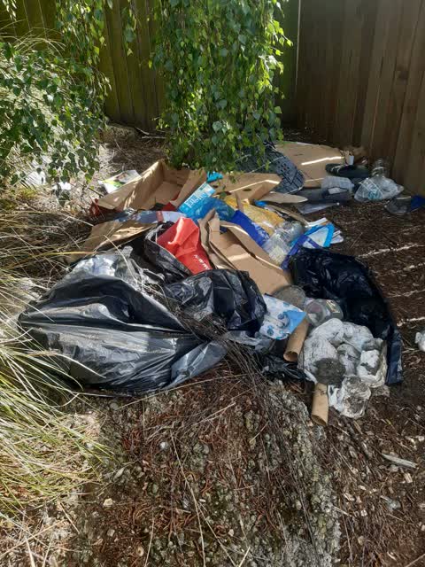 Rubbish/Recycling, a report photo