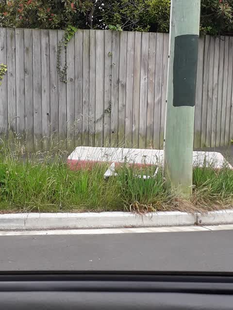Rubbish/Recycling, a report photo