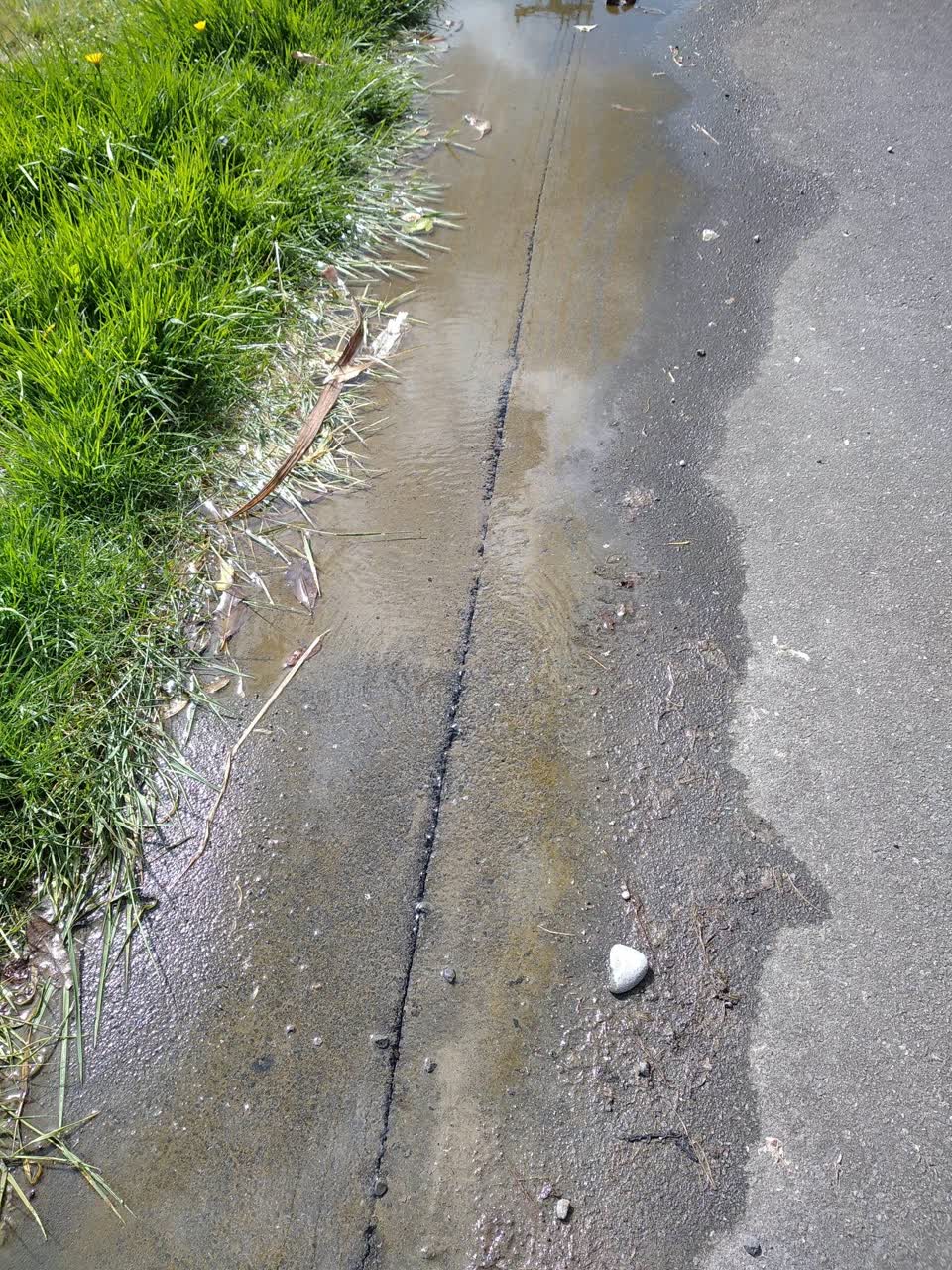 The photograph attached to this water leak report