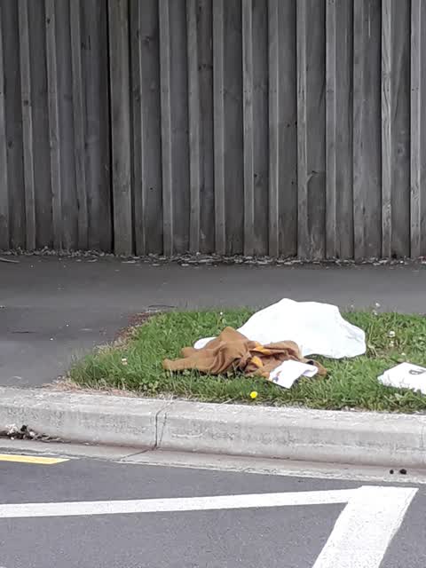 Rubbish/Recycling, a report photo