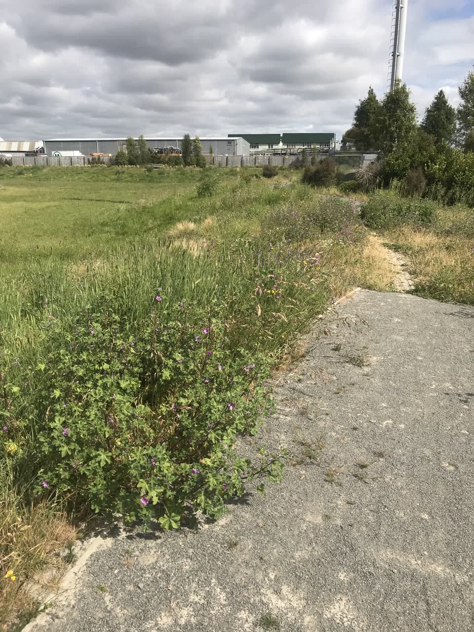 The photograph attached to this parks report