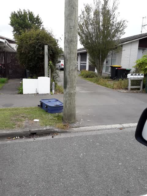 Rubbish/Recycling, a report photo