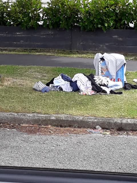 Rubbish/Recycling — a report photo