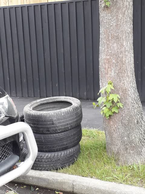 Rubbish/Recycling, a report photo