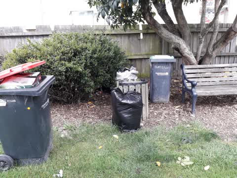 Rubbish/Recycling, a report photo