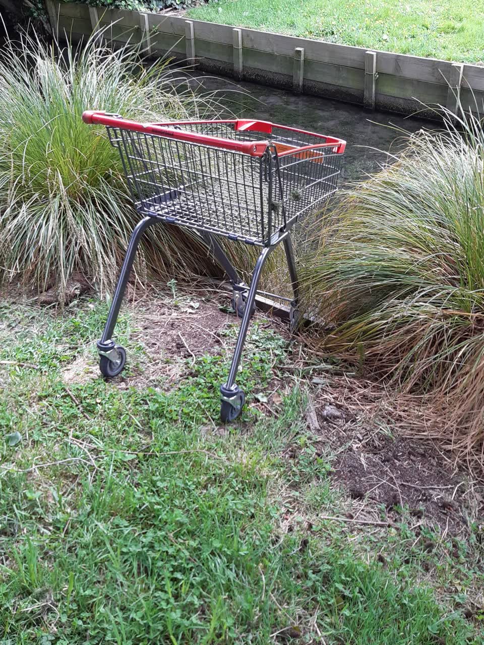 The photograph attached to this parks report