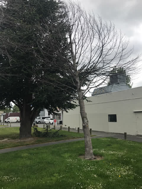 Parks, a report photo
