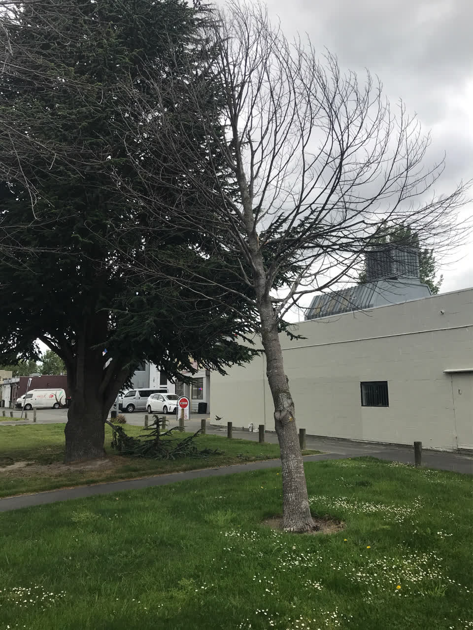 The photograph attached to this parks report