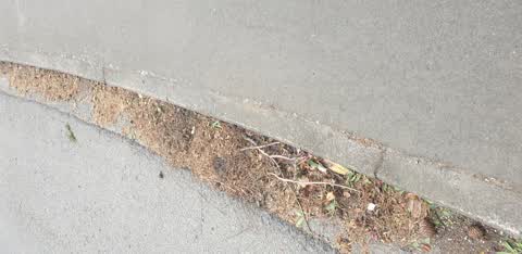 Roading/Streets, a report photo