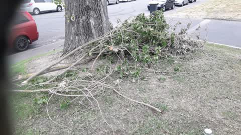 Parks, a report photo